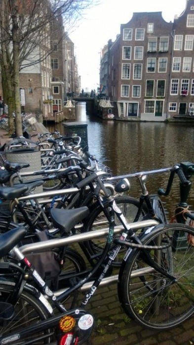 Amsterdam-Bisiklet (5)
